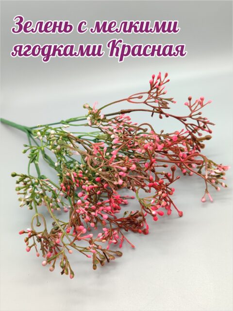 Зелень с мелкими ягодками Красная