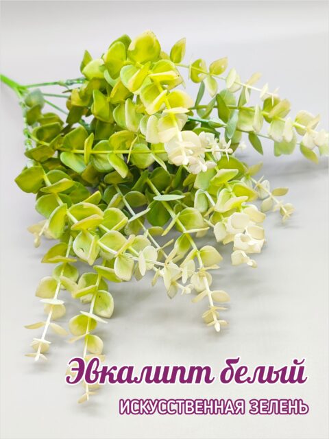 Эвкалипт белый, искусственная зелень